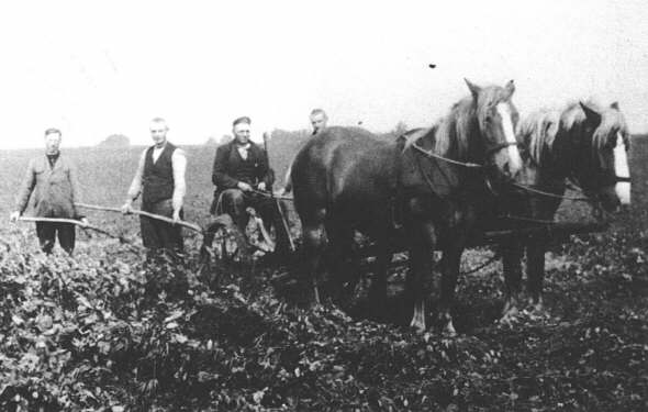 Quelle: Heimatverein Lengerich: Das alte Kirchspiel Lengerich, Geiger-Verlag, Horb am Neckar 1990, S. 83