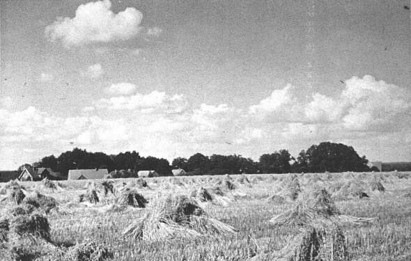 Quelle: Heimatverein Lengerich: Das alte Kirchspiel Lengerich, Geiger-Verlag, Horb am Neckar 1990, S. 83